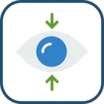 Focus SVG Icon